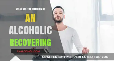 Alcoholism Recovery: Understanding the Realistic Chances of Sobriety Success