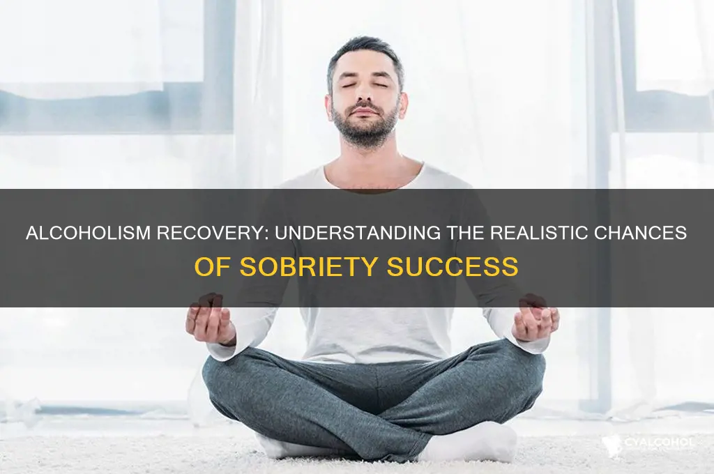 what are the chances of an alcoholic recovering