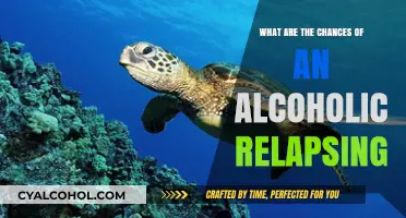 Understanding Relapse Risks: Alcoholism Recovery and Potential Setbacks