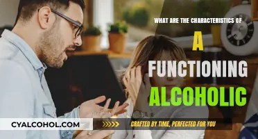 Unveiling the Hidden Traits of Functioning Alcoholics: A Comprehensive Guide