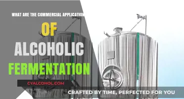 Unlocking Profits: Commercial Uses of Alcoholic Fermentation Explained