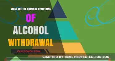 Understanding Alcohol Withdrawal: Recognizing Common Symptoms and Signs