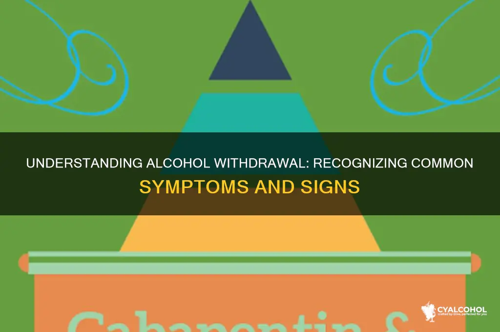 what are the common symptoms of alcohol withdrawal
