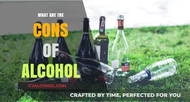 The Dark Side of Drinking: Exploring Alcohol's Hidden Cons