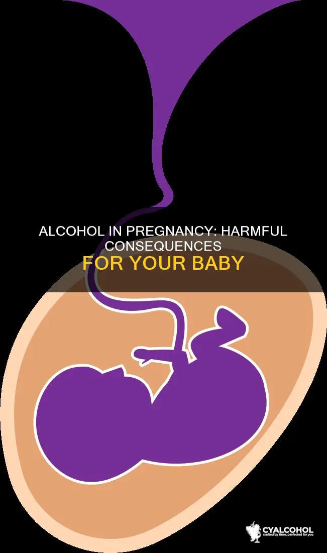what are the consequences of abusing alcohol during pregnancy
