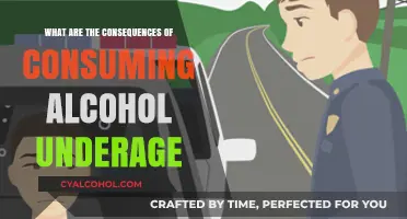 Underage Drinking Consequences: Risks, Health Impacts, and Legal Ramifications