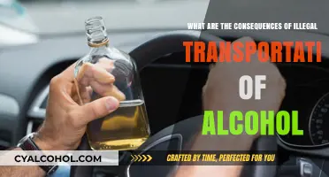 Alcohol Transportation: Legal Consequences of Illegal Practices