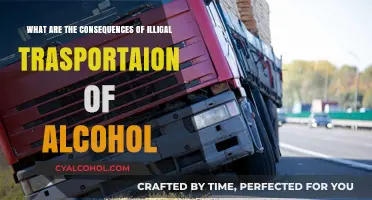 Alcohol Trafficking: Understanding the Dark Side of Smuggling