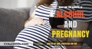 Alcohol and Pregnancy: Understanding the Risks and Long-Term Effects