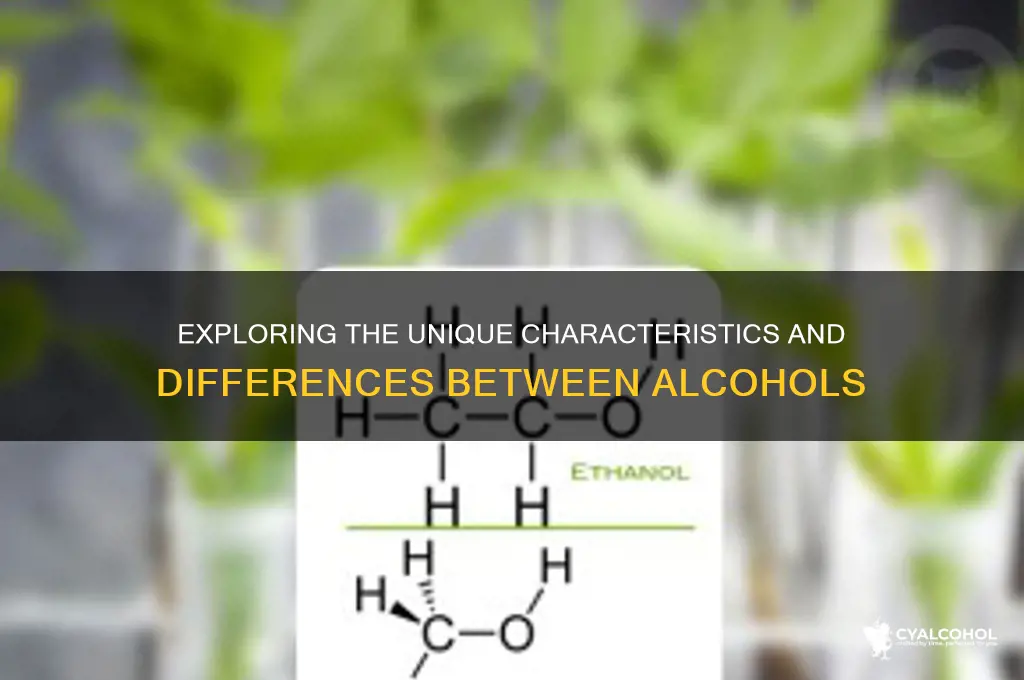 what are the differences between alcohols