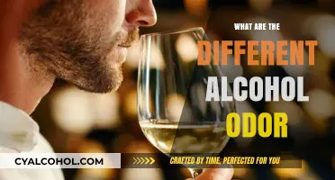 Exploring the Diverse Aromas of Different Alcohol Types and Varieties