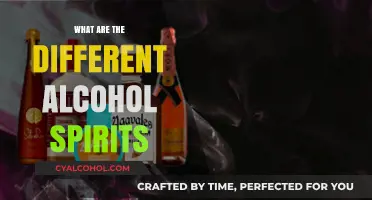 Exploring the Diverse World of Alcohol Spirits and Their Varieties