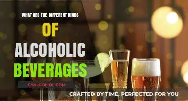 Exploring the Diverse World of Alcoholic Beverages and Their Types