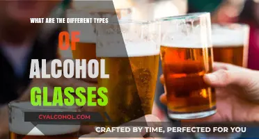 Explore the Varied World of Alcohol Glasses and Their Uses