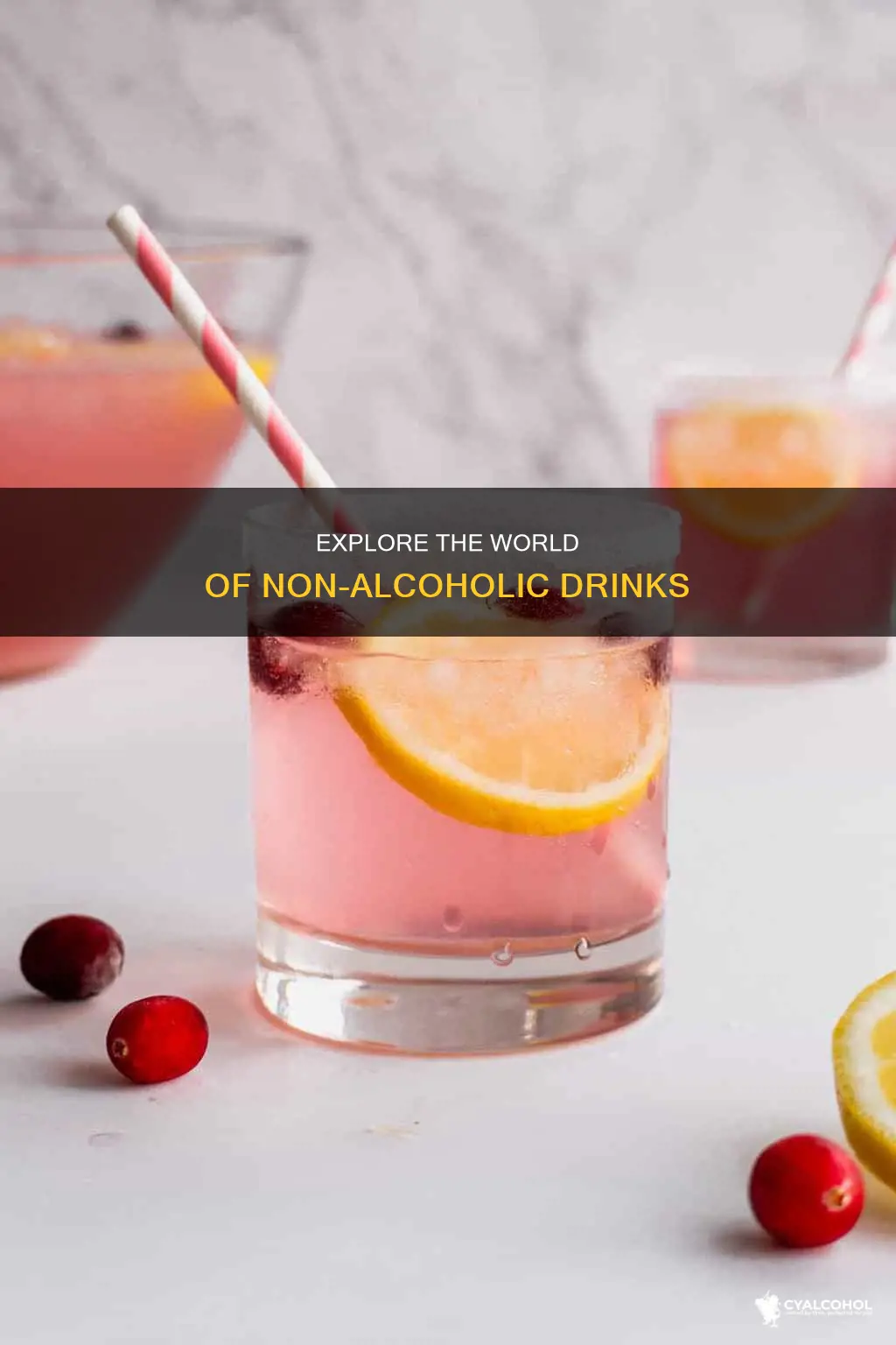 what are the different types of non alcoholic beverages