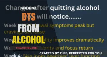 Understanding Alcohol Withdrawal: Symptoms, Risks, and Treatment Options