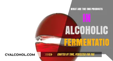 Exploring the End Products of Alcoholic Fermentation: A Comprehensive Guide