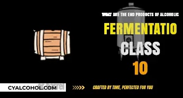 Alcoholic Fermentation: End Products Explained