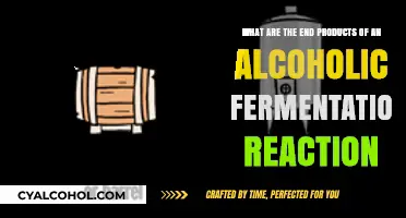 Fermentation's End Products: Alcohol's Complex Chemistry
