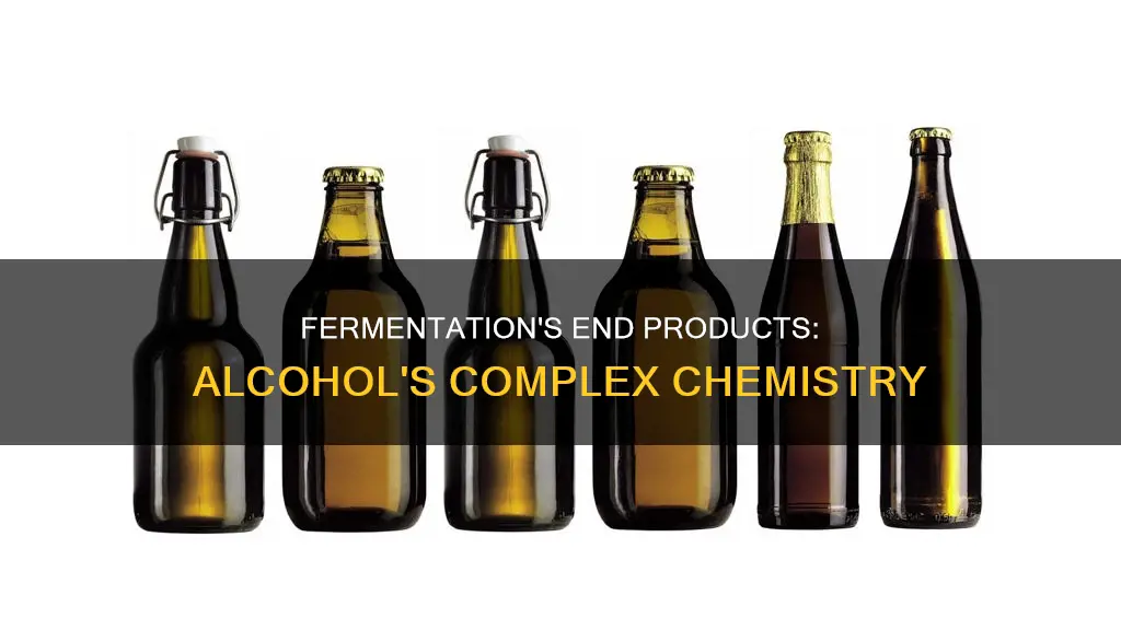 what are the end products of an alcoholic fermentation reaction