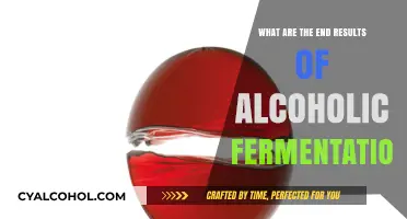 Exploring the Final Products of Alcoholic Fermentation: A Comprehensive Guide