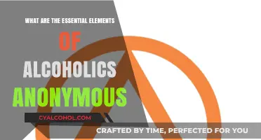 Key Components of Alcoholics Anonymous: A Comprehensive Guide to Recovery