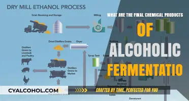 The Magic of Alcoholic Fermentation: Final Chemical Products