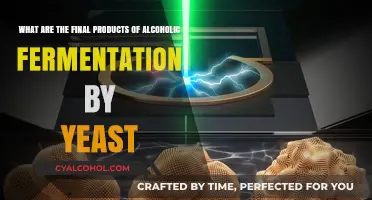 Yeast's Alcoholic Fermentation: Final Product Insights