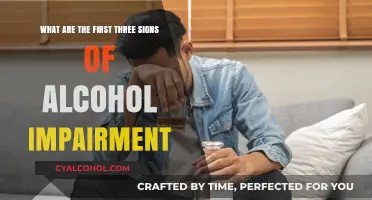 Signs of Alcohol Impairment: First Red Flags