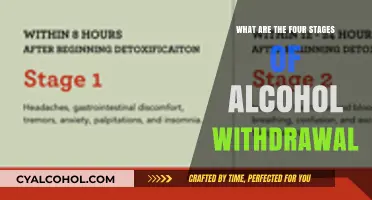 Understanding Alcohol Withdrawal: The Four Critical Stages Explained