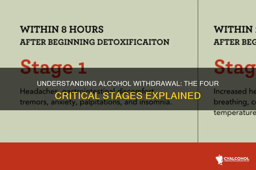 what are the four stages of alcohol withdrawal