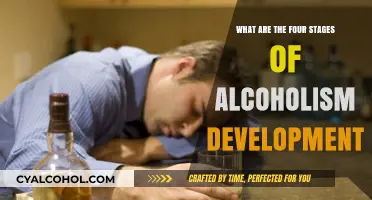 Understanding Alcoholism: The Four Stages of Its Development Explained
