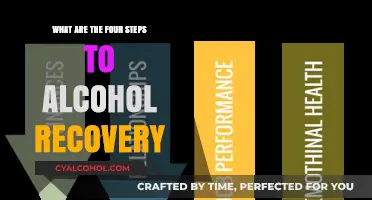 Steps to Sobriety: A Guide to Alcohol Recovery in Four Stages