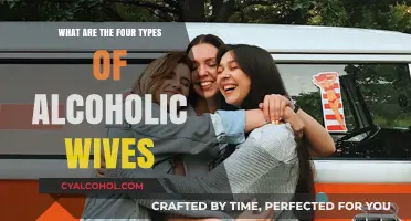 Understanding the Four Distinct Types of Alcoholic Wives and Their Struggles