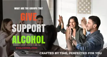 Support Groups for Alcohol Recovery: Finding Community and Sobriety