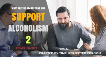 Support Groups for Alcoholism: Finding Your Tribe