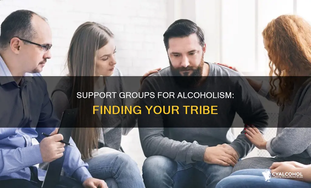 what are the groups that give support alcoholism 2
