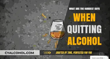 Battling Sobriety: Unveiling the Toughest Days in Alcohol Recovery Journey