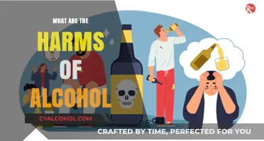The Hidden Dangers of Alcohol: Harms You Need to Know