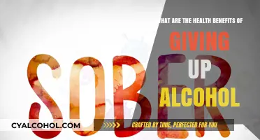 Alcohol-Free Life: Unlocking Health Benefits