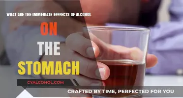 Alcohol's Immediate Stomach Effects: What You Need to Know