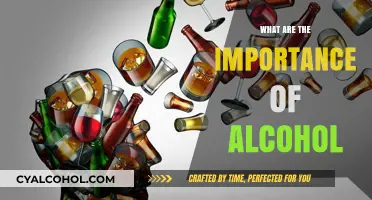 Understanding the Significance and Impact of Alcohol in Society