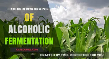Fermentation Inputs and Outputs: Alcoholic Beverage Science