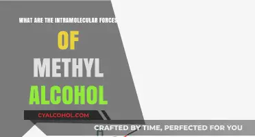Understanding Intramolecular Forces in Methyl Alcohol: A Comprehensive Guide
