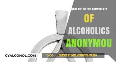 Understanding Alcoholics Anonymous: Core Principles and Essential Components Explained