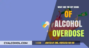 Recognizing Alcohol Overdose: Critical Signs You Should Never Ignore