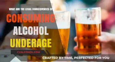 Underage Drinking: Understanding Legal Consequences