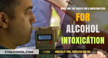 Breathalyzer Levels: Understanding Alcohol Intoxication Standards