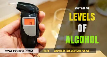 Understanding Alcohol Levels: A Comprehensive Guide to Blood Alcohol Concentration