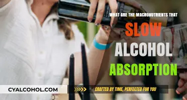Macronutrients to Slow Alcohol Absorption: Foods That Help Pace Drinking